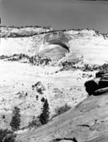 The White Cliffs on east side of Zion National Park, near East Entrance and Checkerboard Mesa.
