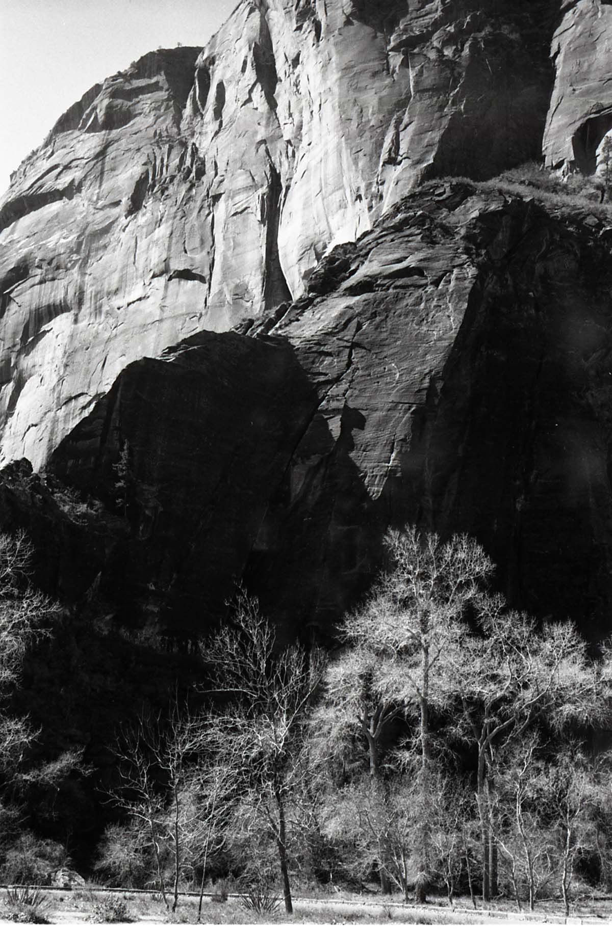 BW Photos of general interior views of Zion Canyon - 35mm.