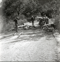 Men working to construct a section of road along the scenic canyon drive near the Grotto.