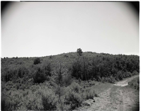 BW photo of the 1937 grazing study - 4x5.