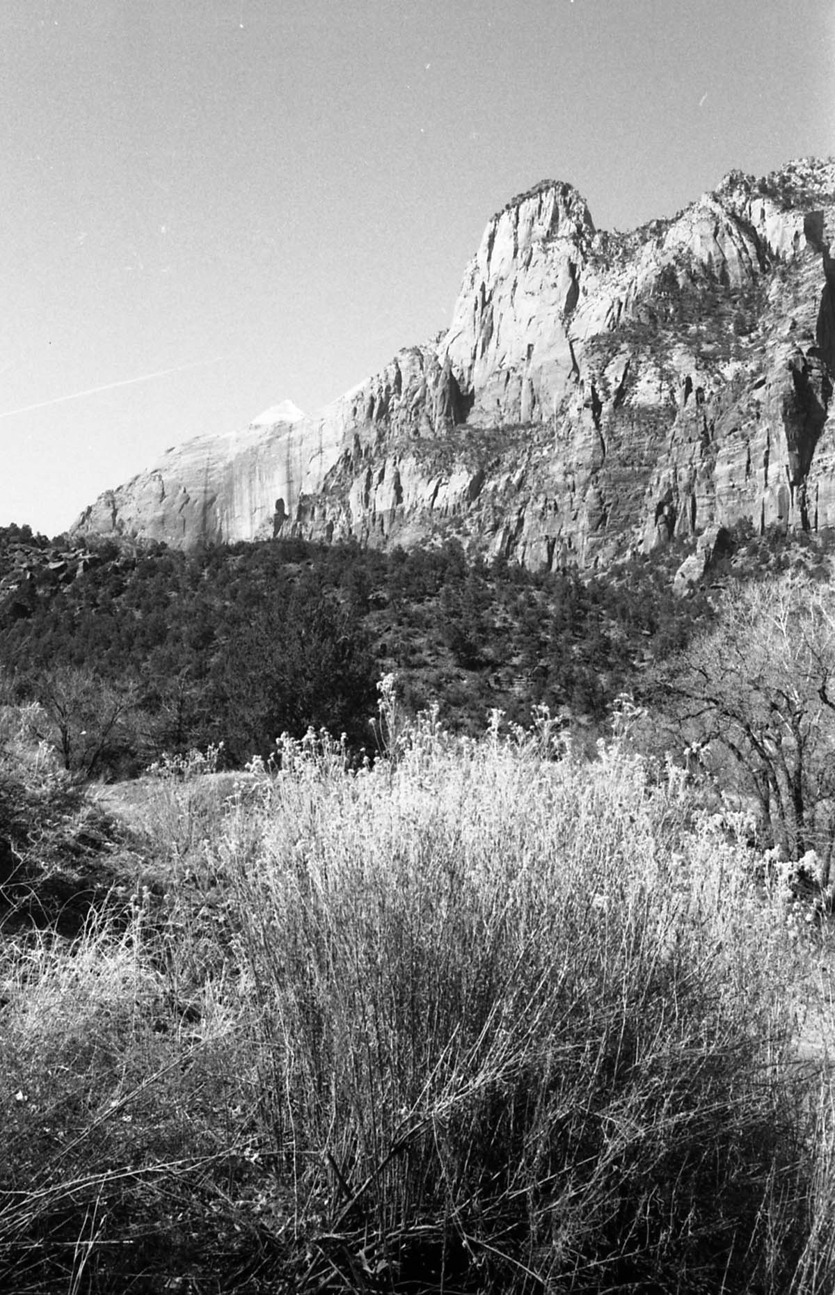 BW Photos of general interior views of Zion Canyon - 35mm.