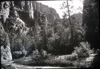Zion Narrows at open glade.