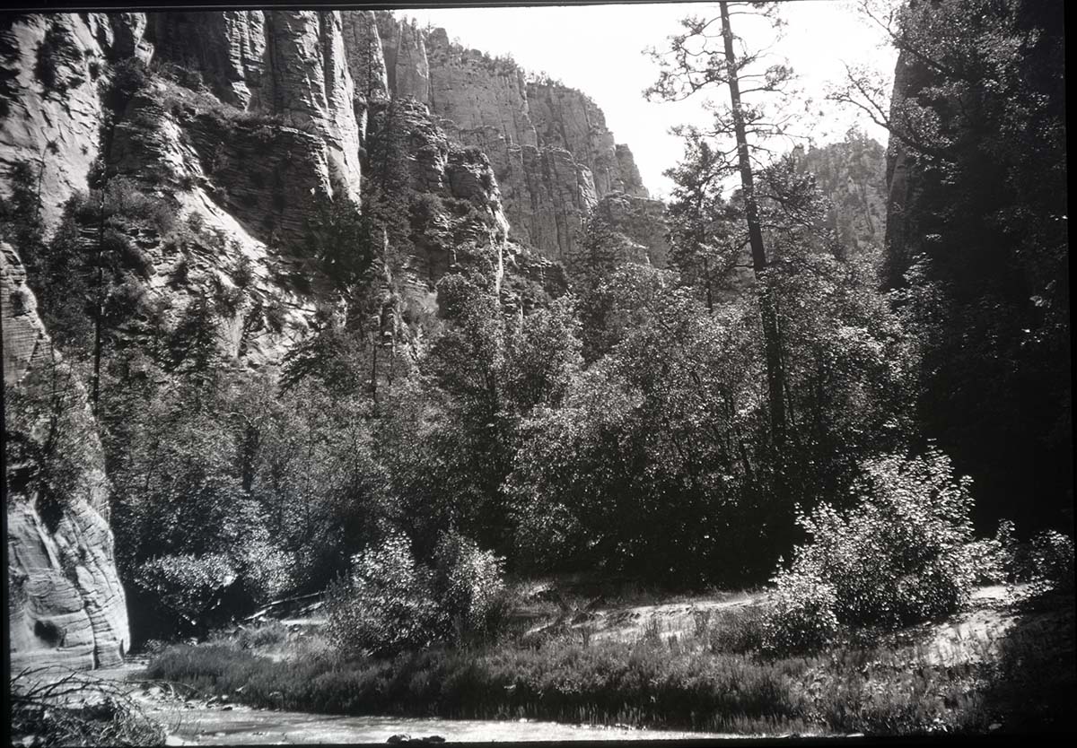 Zion Narrows at open glade.