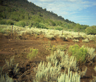 Color Photos of rock slides in Kolob Canyon.