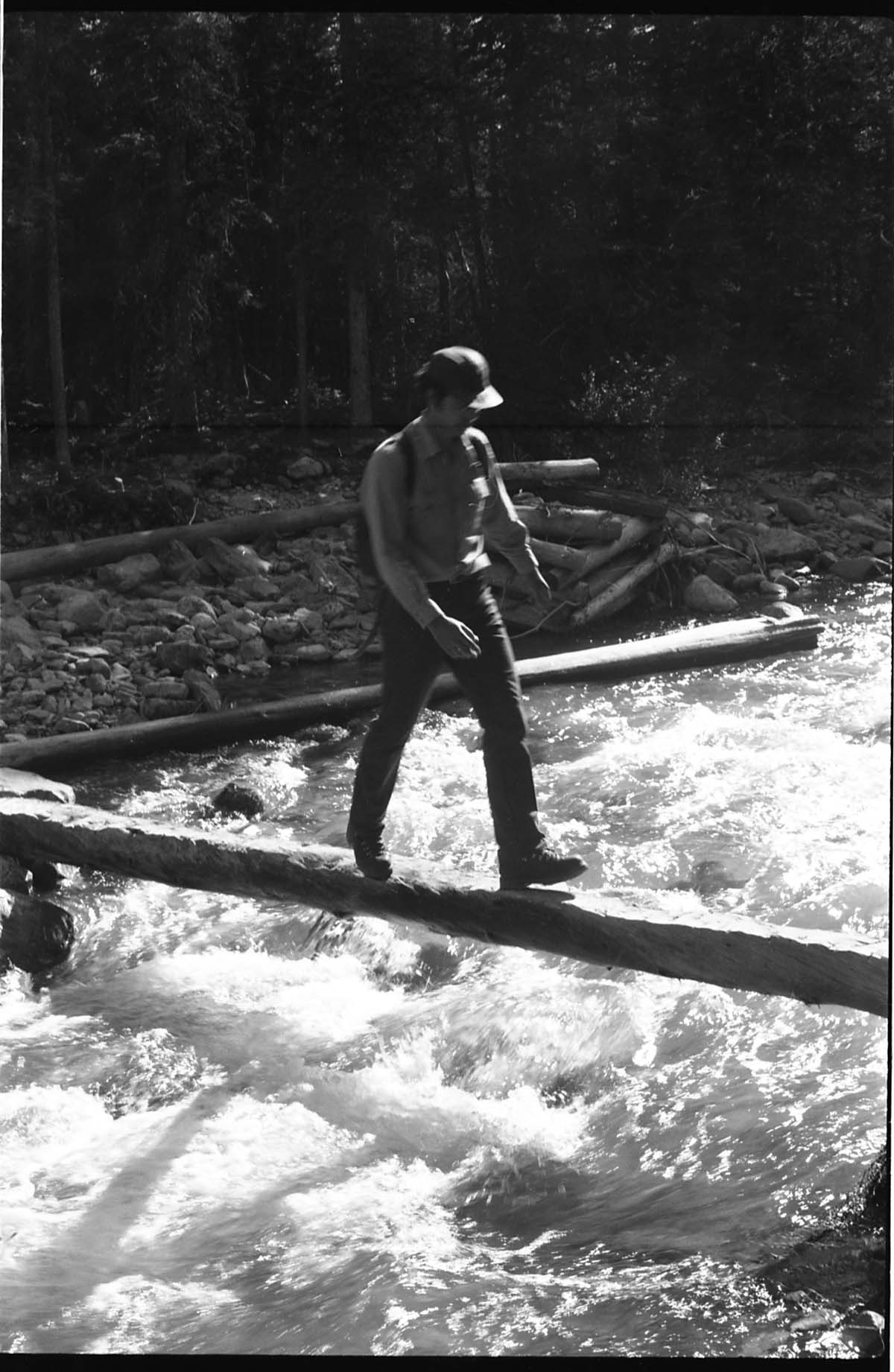 BW Photos of ranger-led hike / yucca talk. Man walking across log bridge.