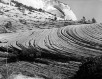 Cross bedded sandstone, line and form near White Arch on east side of Zion National Park.