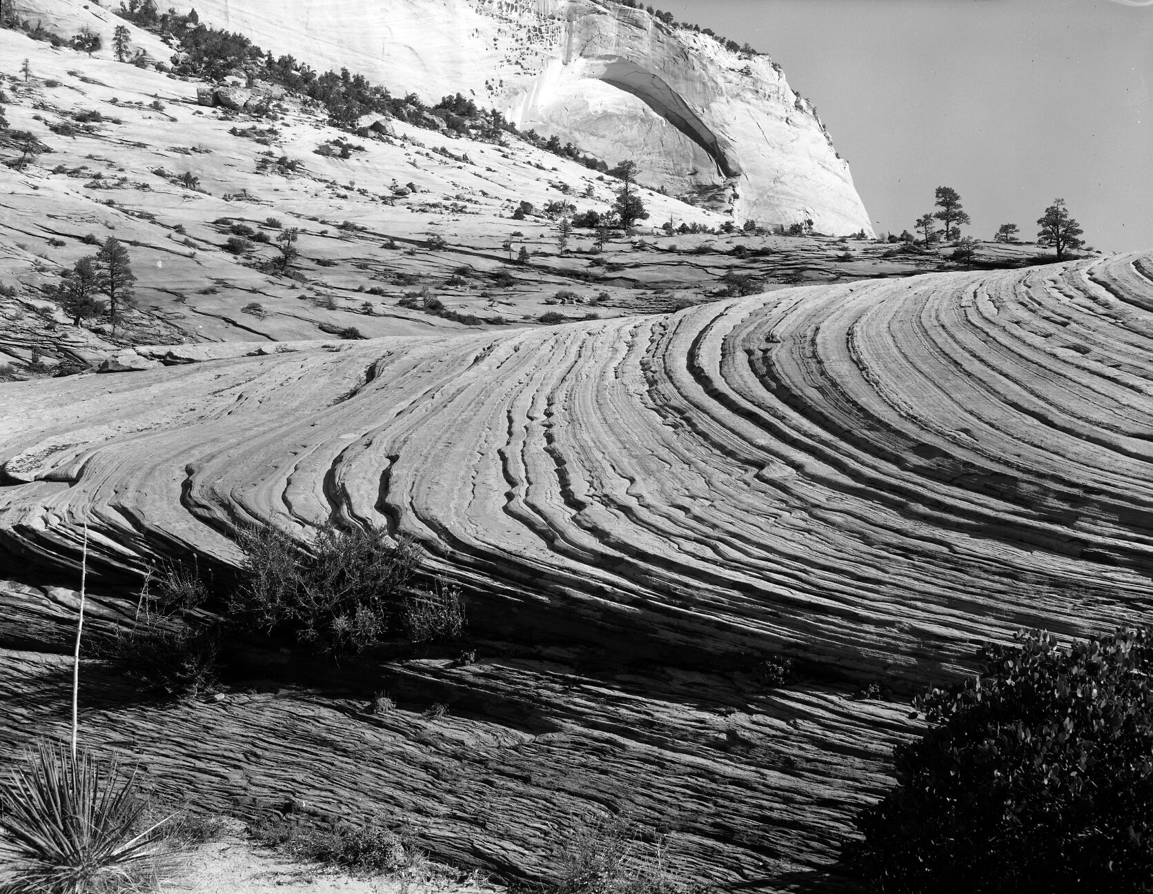 Cross bedded sandstone, line and form near White Arch on east side of Zion National Park.