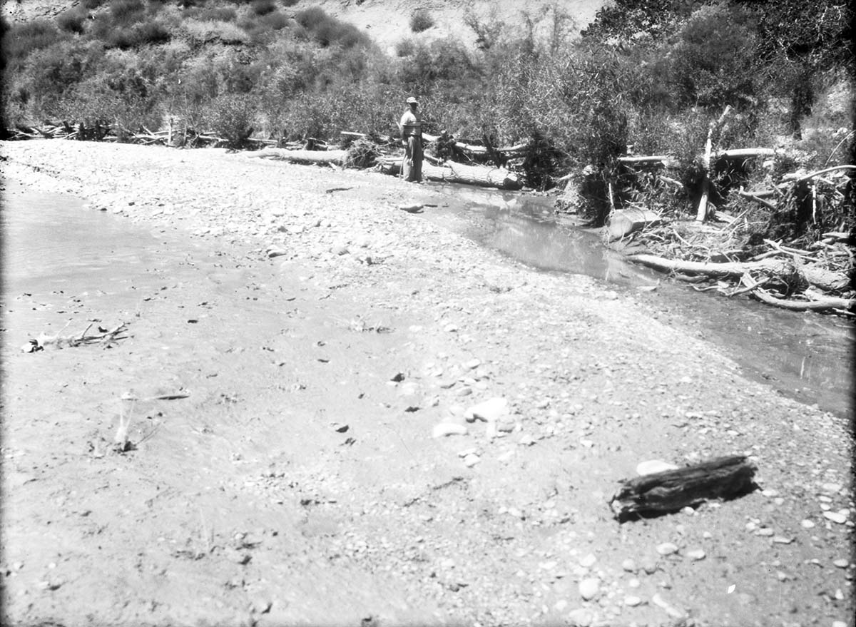 Tree and cable and willow spider jetties on Virgin River opposite Wiley camp drainage in need of repair after heavy spring floods.