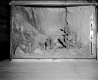 Cactus diorama, Exhibit #20. Requested by Western Museum Laboratory (WML) as a preliminary aid in renovation.