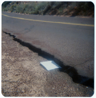 Crack in road in need of repair with paper marking over top.