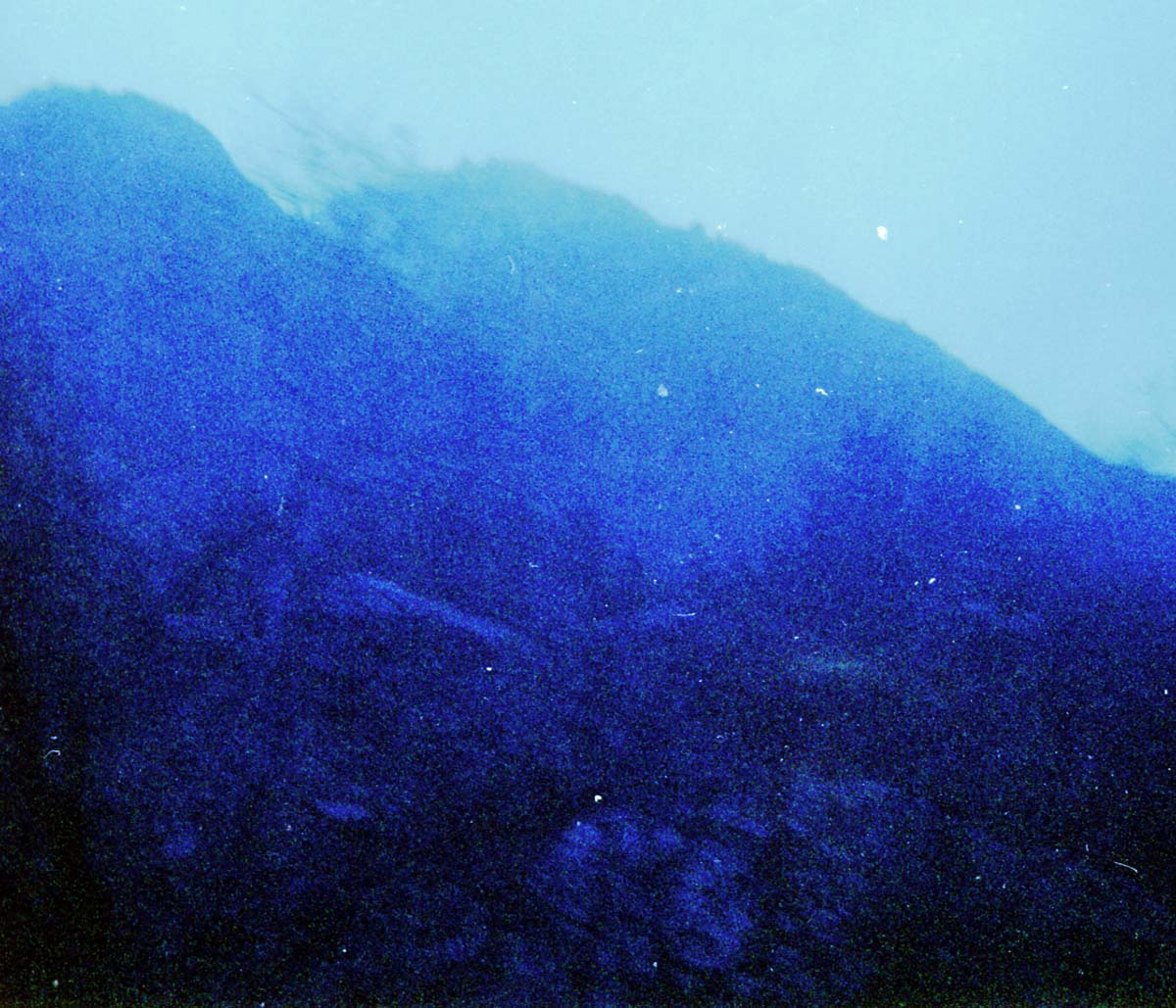 Color Photos of Zion Canyon.