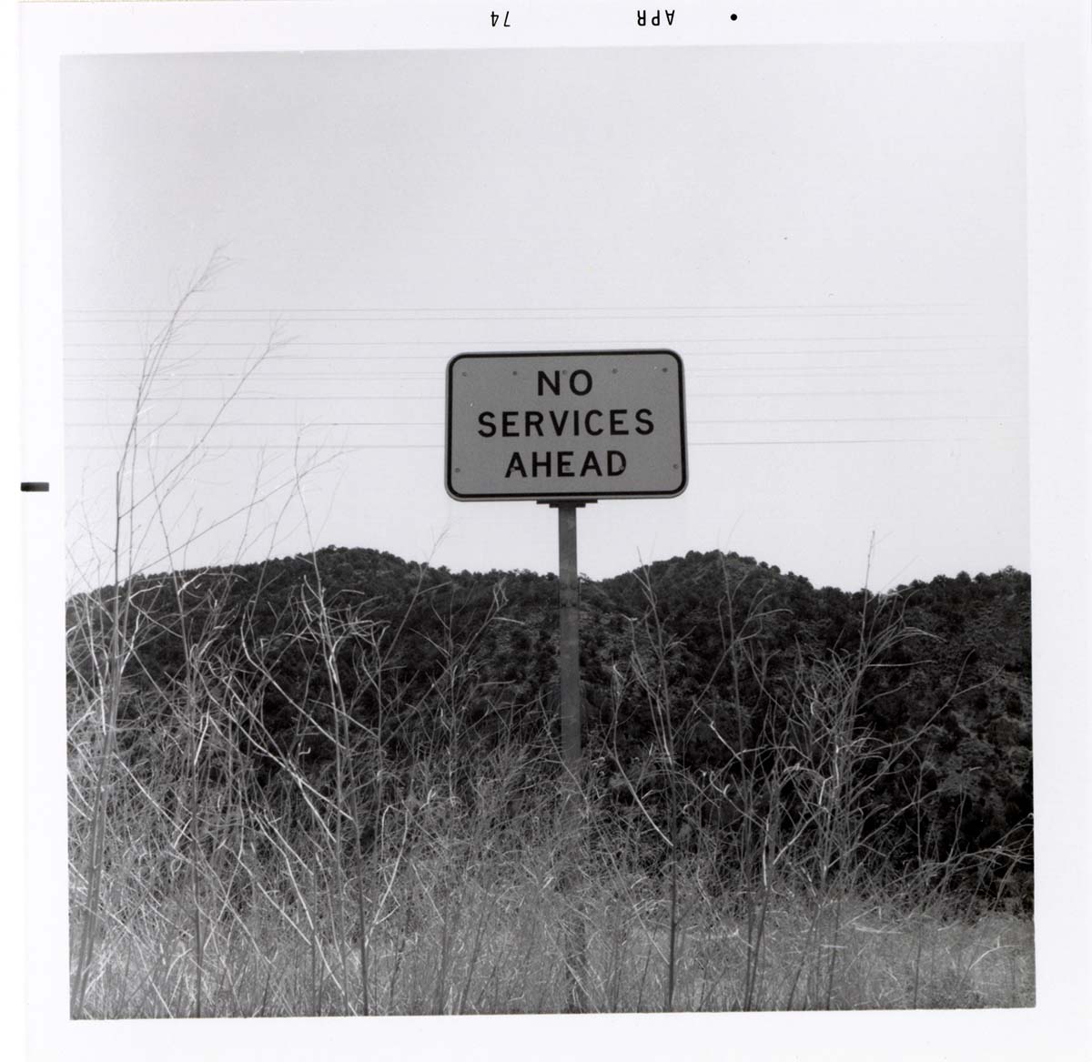 No Services Ahead' road sign near Kolob Canyon.