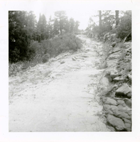 General view of the East Rim trail.