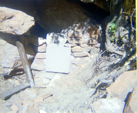 The Zion Lodge utilities project.