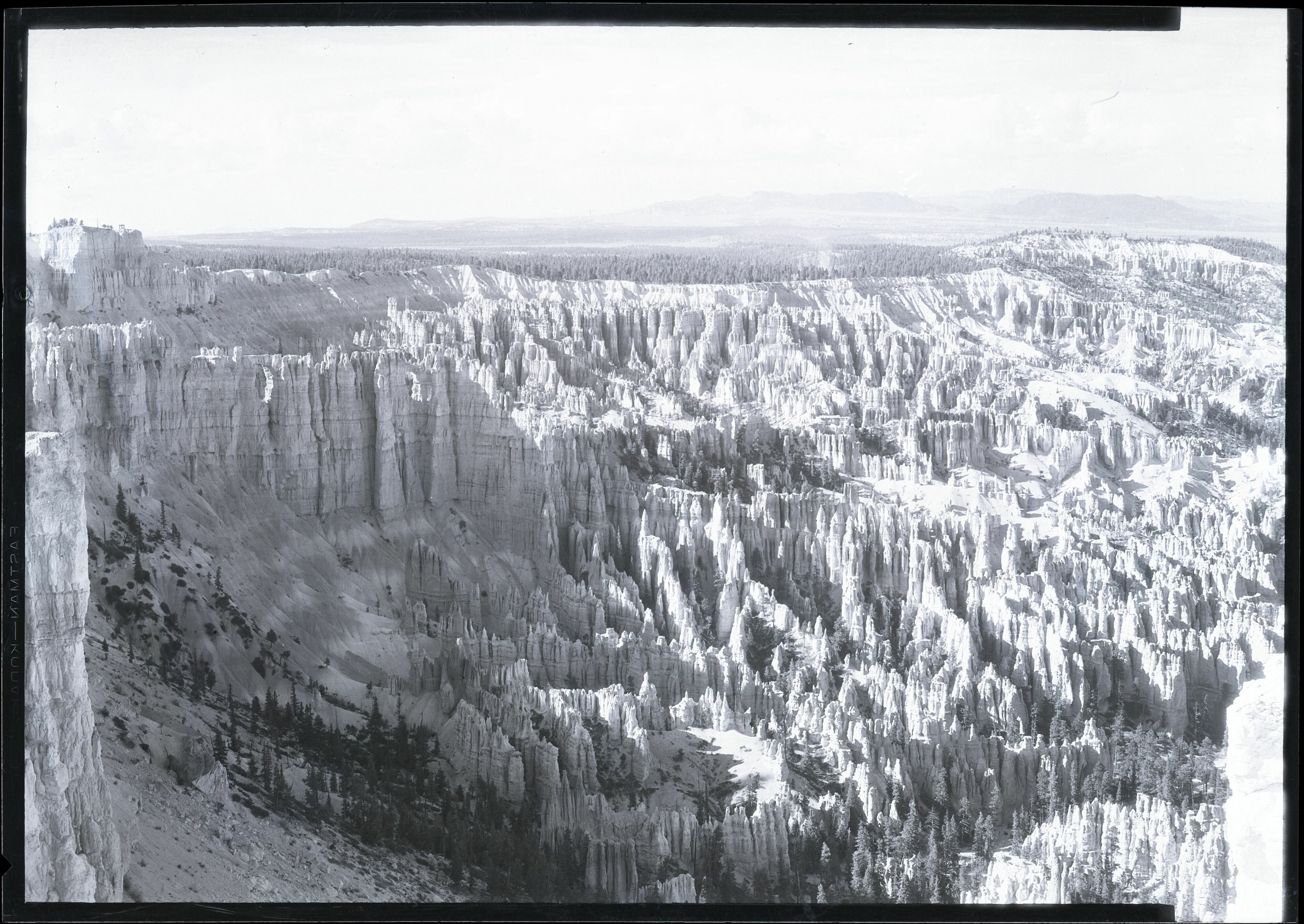 BRCA Museum and Archives Image