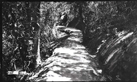 Construction of the Narrows Trail.