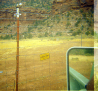 Electric fence along roadside, rearview mirror in edge of frame.