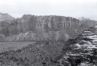 BW photo of the 1937 grazing study 35MM.