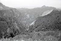 BW photo of the 1937 grazing study 35MM.