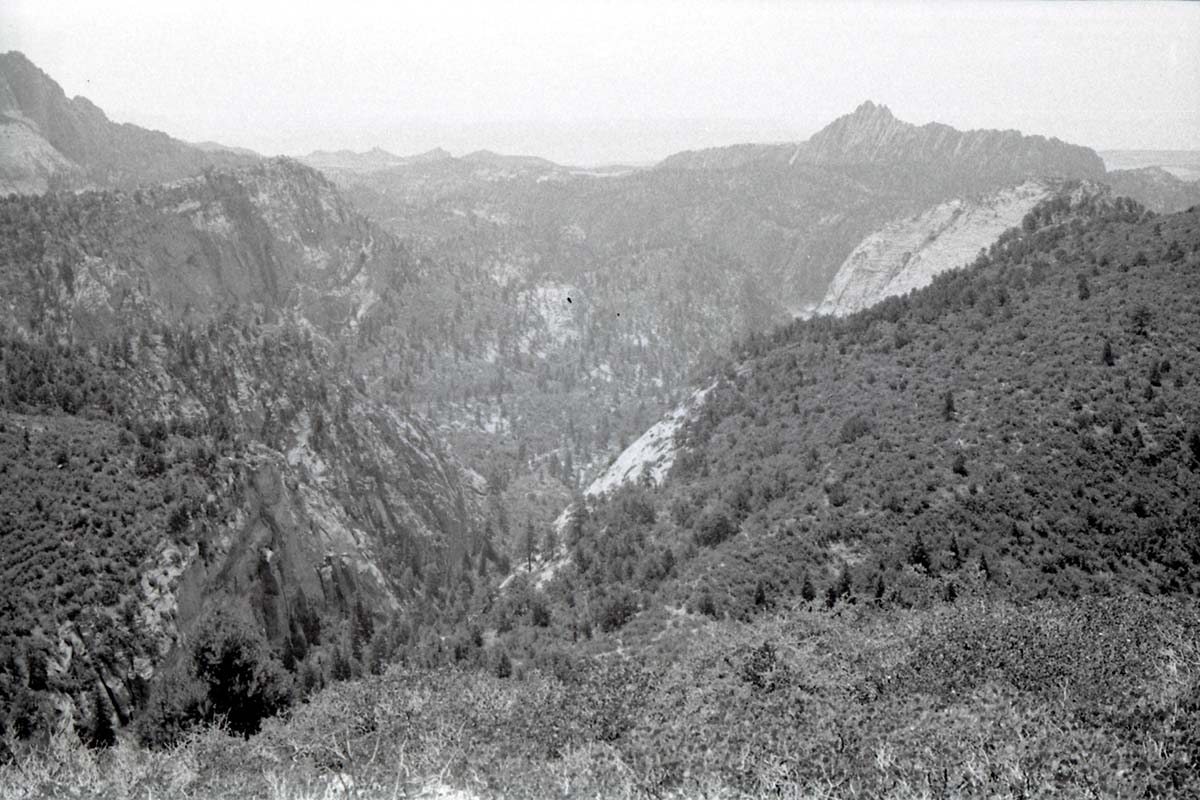 BW photo of the 1937 grazing study 35MM.