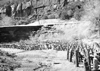 Stream bank protection along eroded stream bank, looking downstream at willow spiders along west bank of Virgin River above Court of Patriarchs.