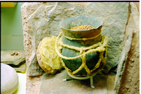Color photos of prehistoric jar (North Creek Gray) display.