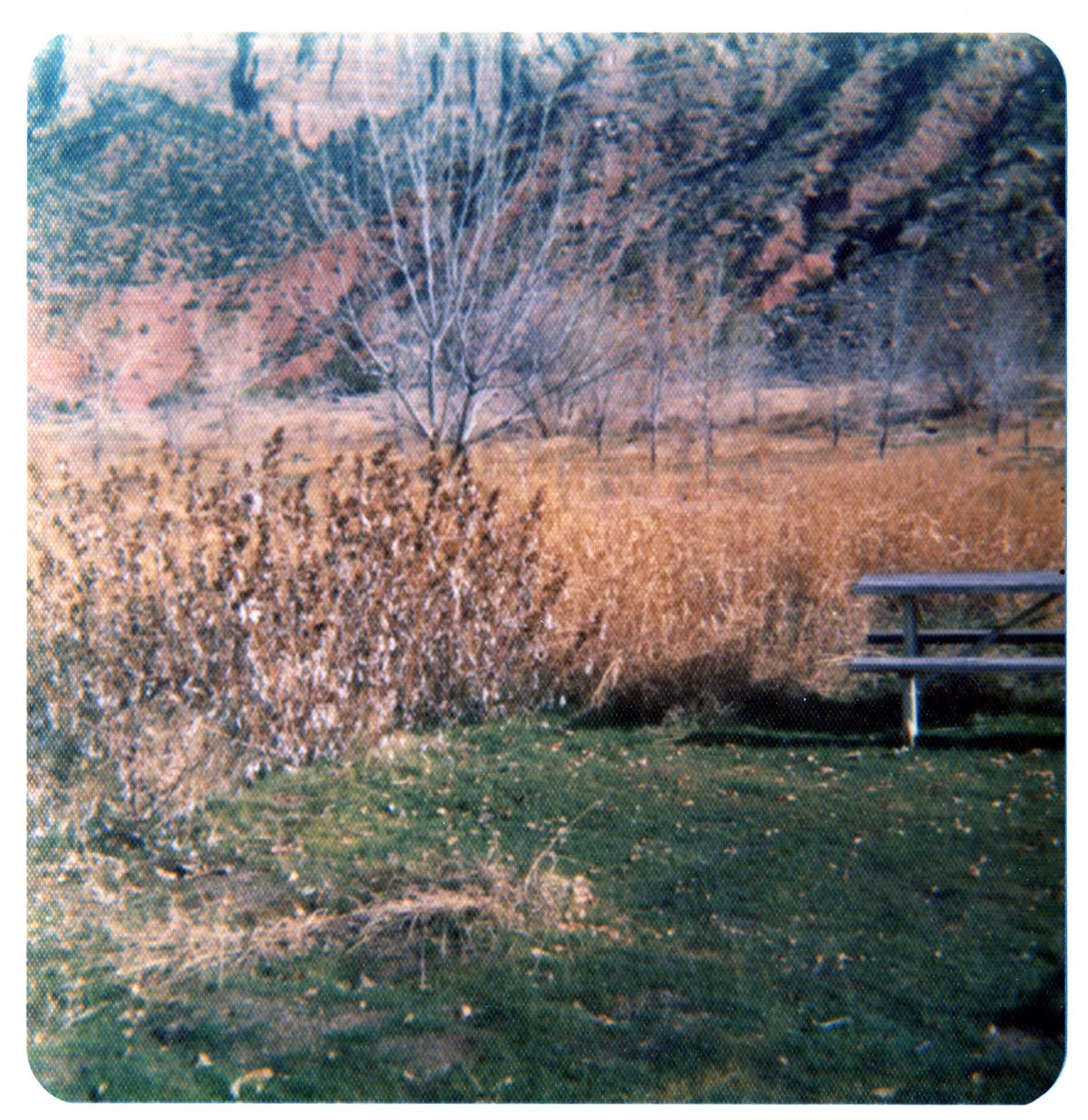 Personnel performing maintenance activities.