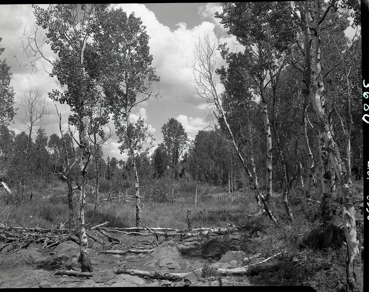 Rulon Langston land, 40 acres- section 13, T 39 S, R 10 W, SE 1/4 SE 1/4.