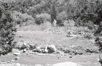 BW photo of the 1937 grazing study 35MM.