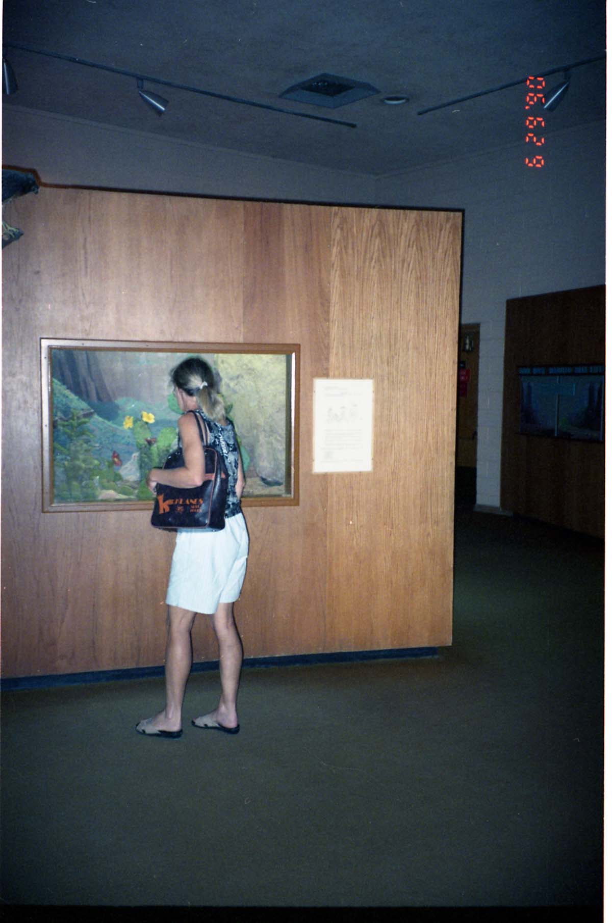 Color Photos of the old visitor center exhibits.