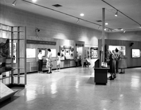 Interior of the Zion Museum space with visitors and children looking at exhibits.