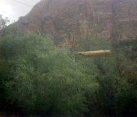 The Temple of Sinawava spring project - scaffolding construction and use.