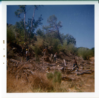 Boy Scout group cleaning up after tree crew in Watchman area.