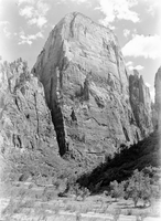 The Great White Throne, with planting along Virgin River riverbed in foreground (revegetation project).