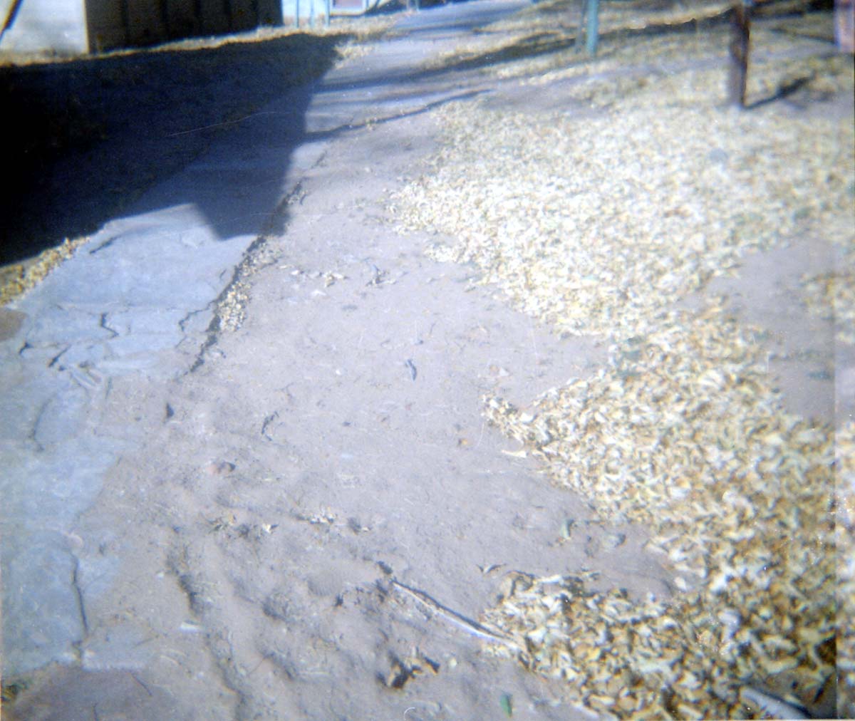 The Zion Lodge utilities project.