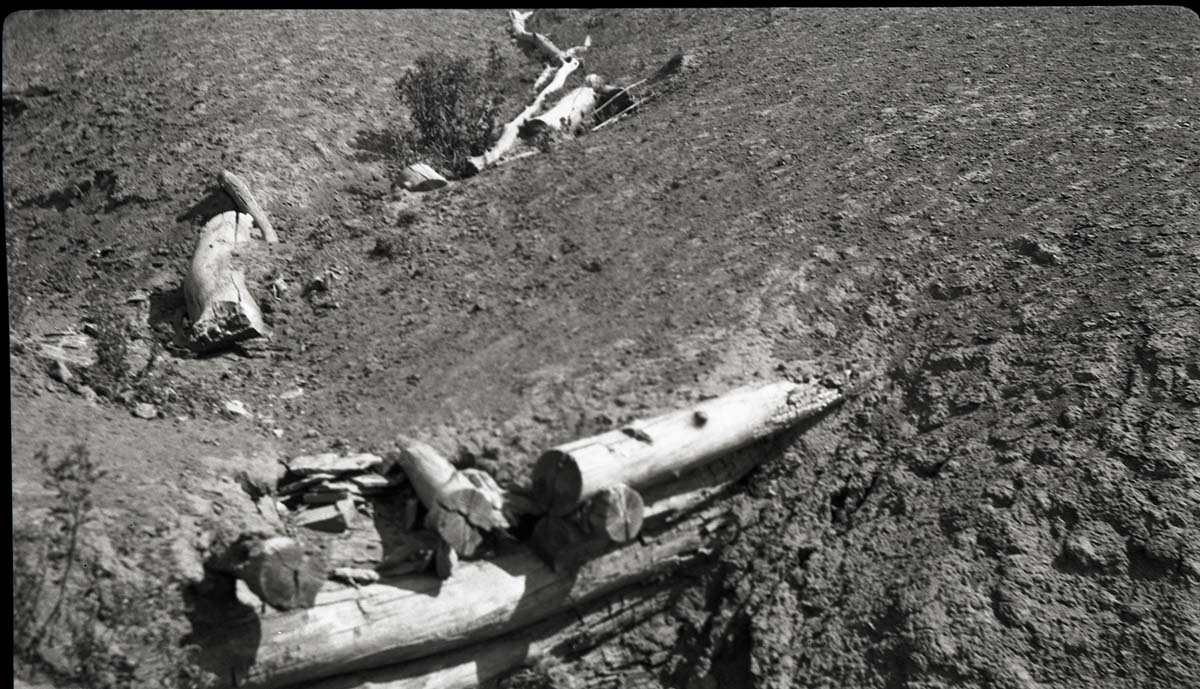 Small log check dams.