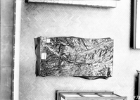 Telephoto from the third floor of the University of California Berkeley Hearst Memorial Mining Building, showing Zion National Park relief map. Herringbone-patterned brick flooring.