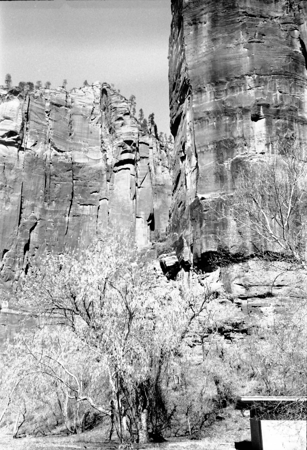 BW Photos of the Temple of Sinawava - 35mm.
