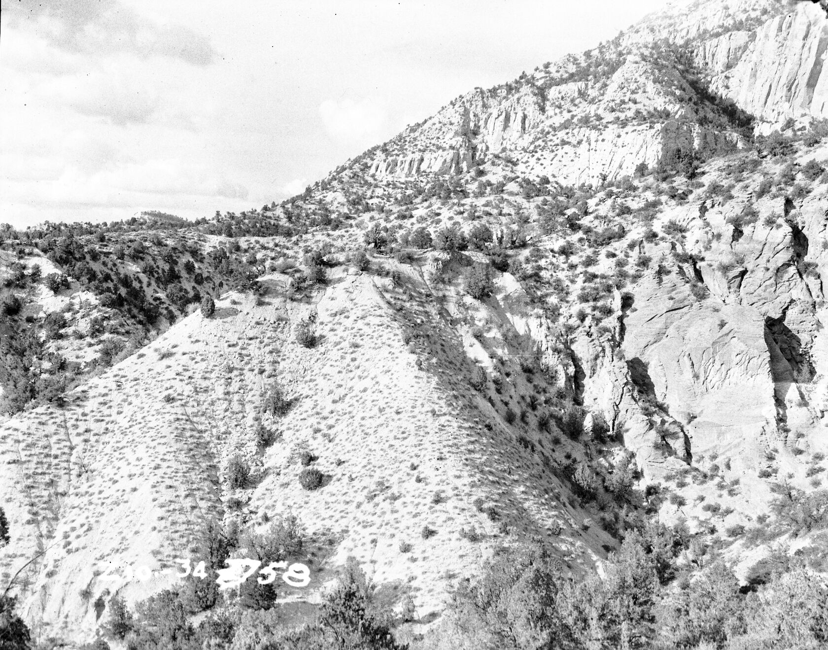 Mancos Shale and Navajo sandstone Long Valley fault, east of Mount Carmel Junction.