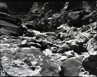 Damage done by storm of July 25, 1954 to West Rim Trail, switchbacks below Walter's Wiggles looking down trail.