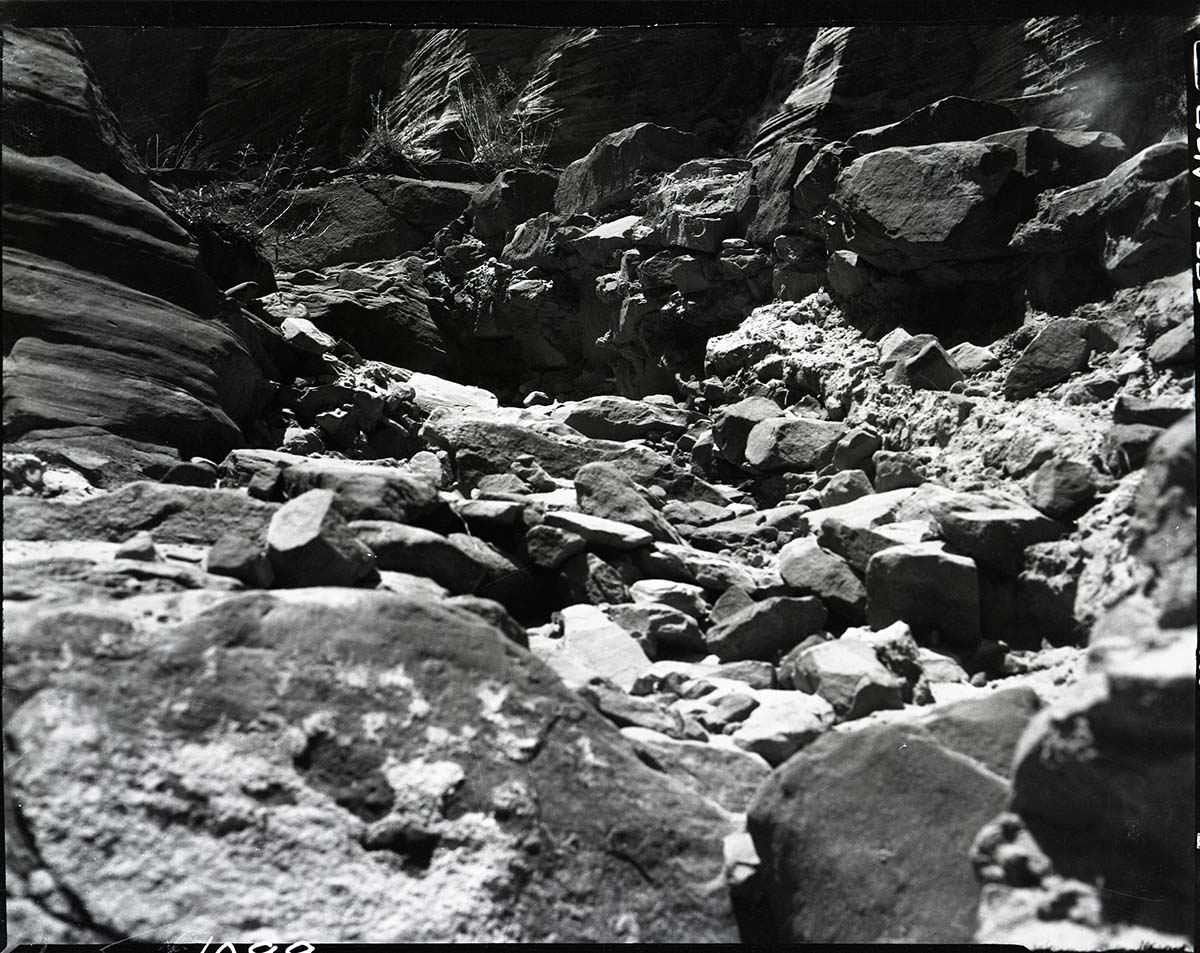 Damage done by storm of July 25, 1954 to West Rim Trail, switchbacks below Walter's Wiggles looking down trail.