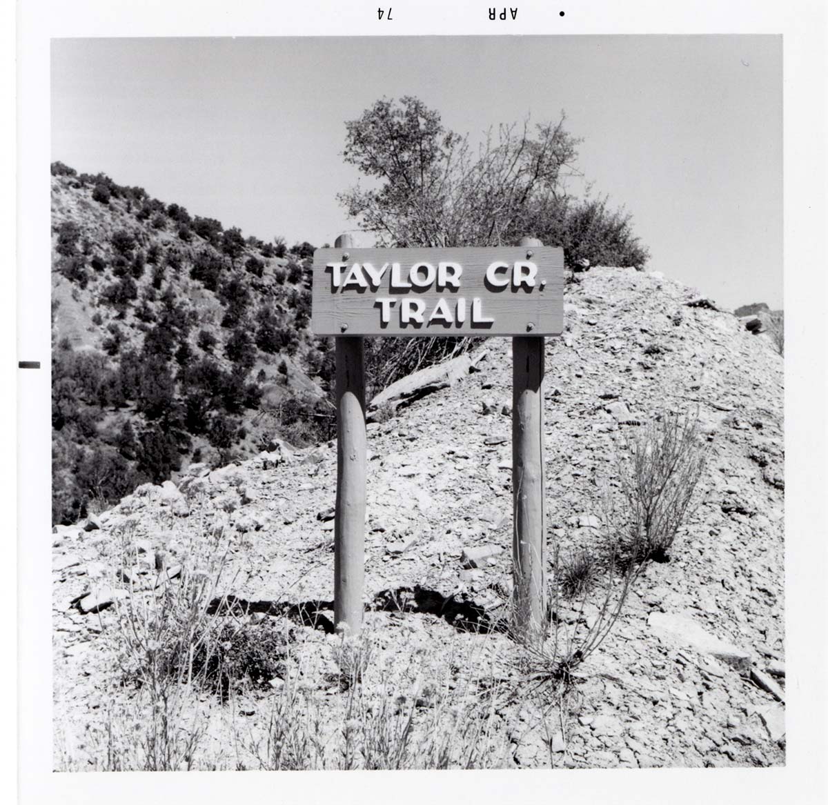 Road sign reading 'Taylor Cr. Trail' in Kolob Canyon.