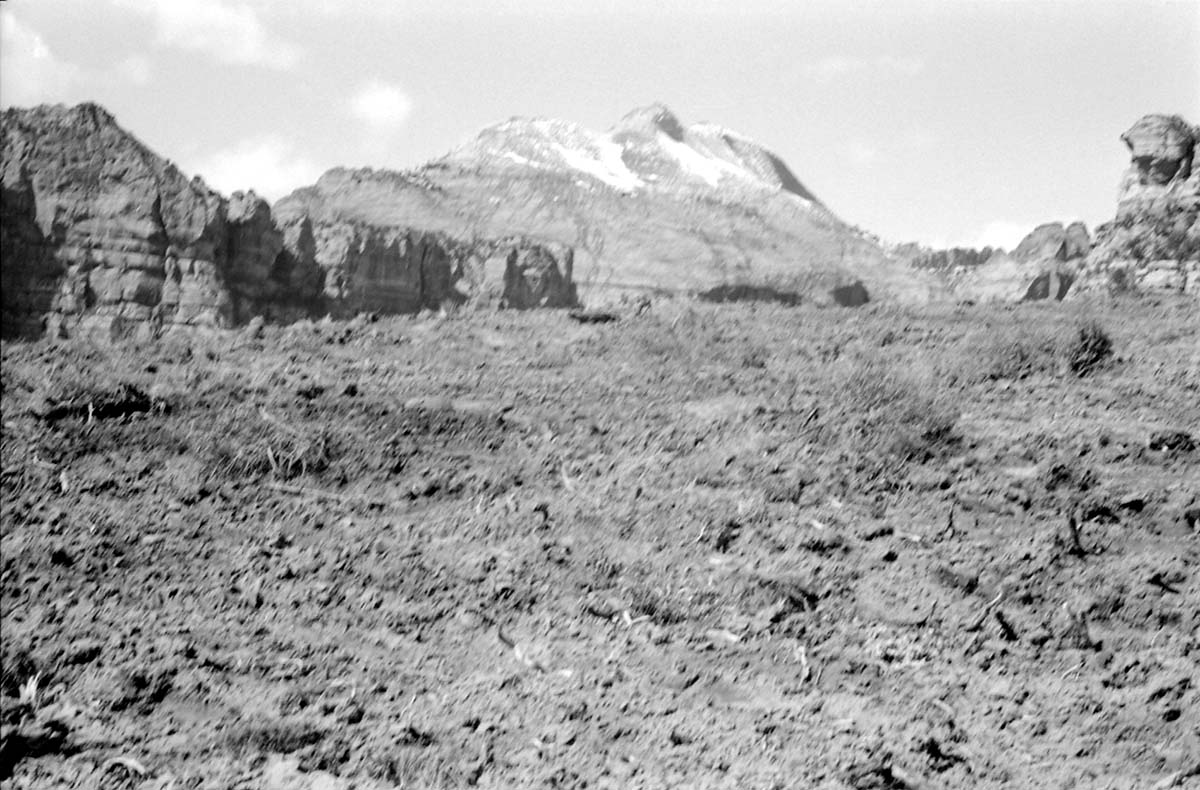BW photo of the 1937 grazing study 35MM. Photo of chained area.