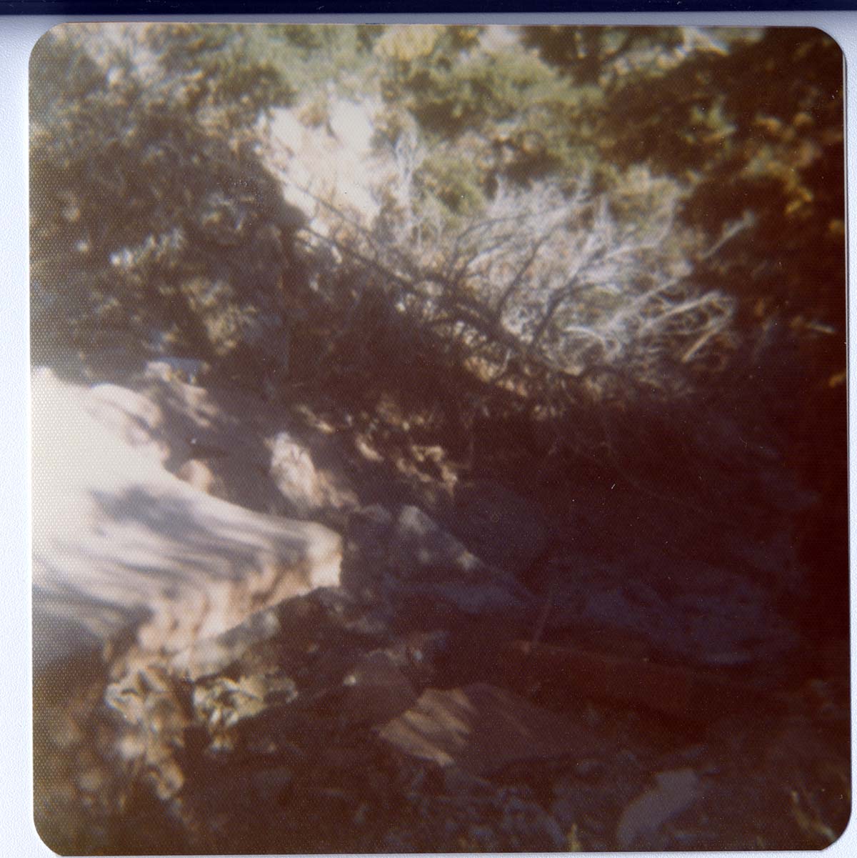 NPS personnel working on the Kayenta connector trail.