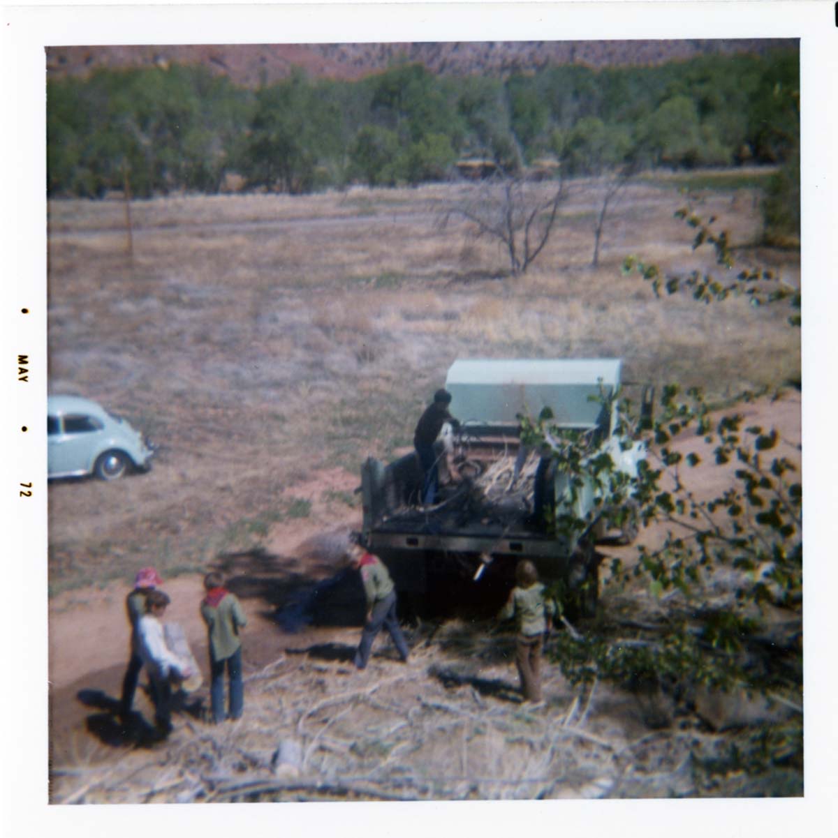 Boy Scout group cleaning up after tree crew in Watchman area.