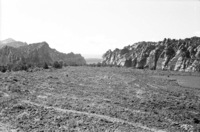BW photo of the 1937 grazing study 35MM. Photo of large chained area for grazing.