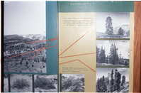 Color Photos of the old visitor center exhibits.