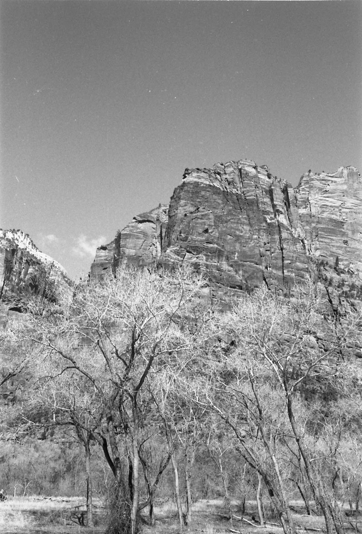 BW Photos of general interior views of Zion Canyon - 35mm.