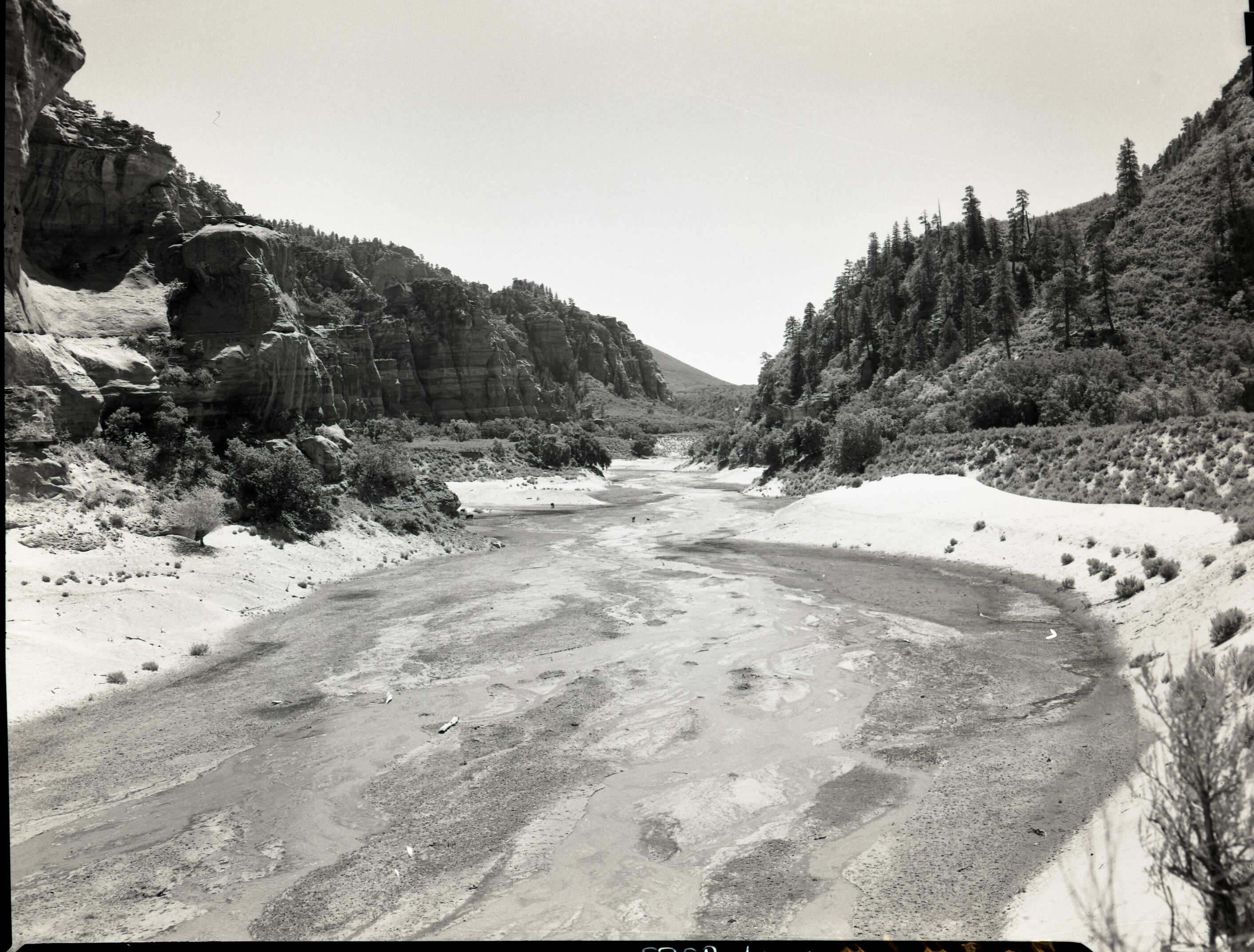 Water use in Hop Valley: irrigation, improper land use, and overgrazing to refute water diversion rights claim under grazing permit.