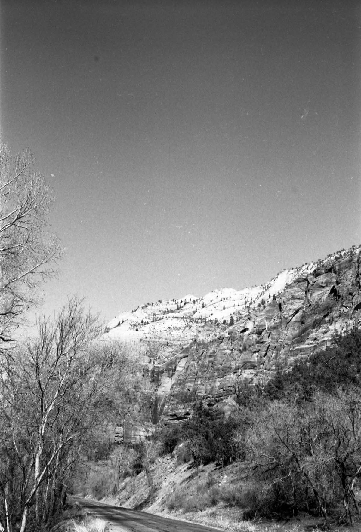 BW Photos of general interior views of Zion Canyon - 35mm.